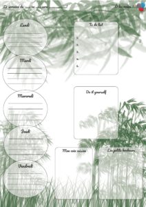 planner vertical