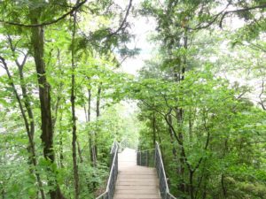 promenade Jacques Cartier