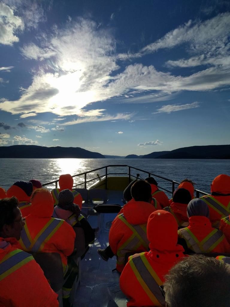 visite tadoussac croisière baleines 